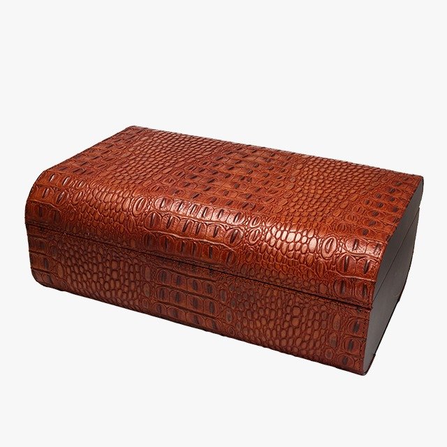 Premium Cigar Humidor